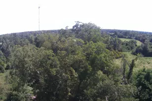 2634 Sandy Rd, Marianna, FL 32448 - Photo 29