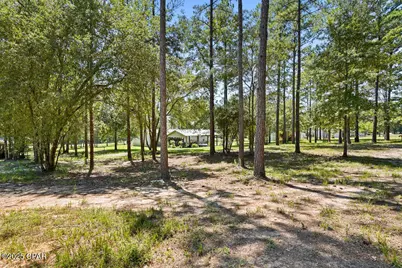 7910 Sneads Landing Road, Sneads, FL 32460 - Photo 45