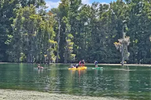 4918 Flynt Dr, Marianna, FL 32446 - Photo 45