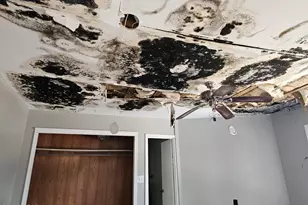 4918 Flynt Dr, Marianna, FL 32446 - Photo 33