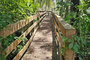 4918 Flynt Dr, Marianna, FL 32446 - Photo 3