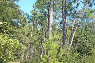 702 Moonseed Ln, Chipley, FL 32428 - Photo 21