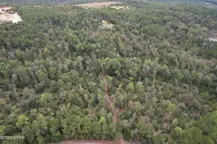 702 Moonseed Ln, Chipley, FL 32428 - Photo 31