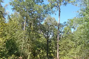 702 Moonseed Ln, Chipley, FL 32428 - Photo 25