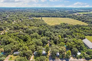 5324 Forest Dr, Graceville, FL 32440 - Photo 29