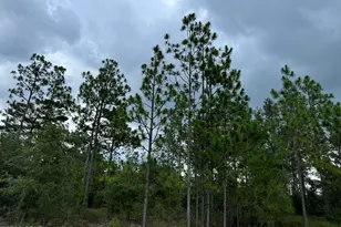 0000 Tippet St, Chipley, FL 32428 - Photo 1