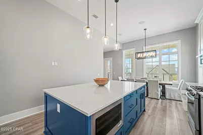 221 Dunes Drive, Mexico Beach, FL 32456 - Photo 3