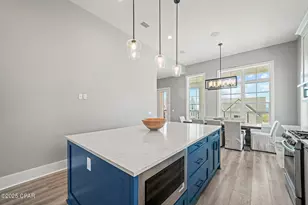 221 Dunes Dr, Mexico Beach, FL 32456 - Photo 3