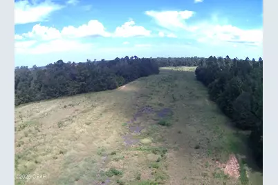 3376 Kynesville Road, Cottondale, FL 32431 - Photo 11