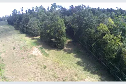 3376 Kynesville Road, Cottondale, FL 32431 - Photo 9