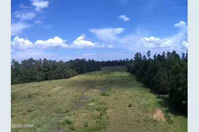 3376 Kynesville Road, Cottondale, FL 32431 - Photo 7