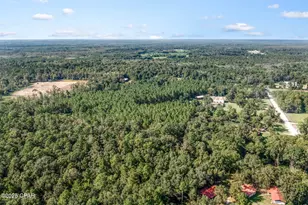 630 Hutchison Rd, Chipley, FL 32428 - Photo 91