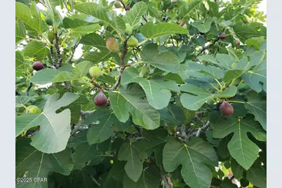 6940 Yellow Bluff Road, Callaway, FL 32404 - Photo 55