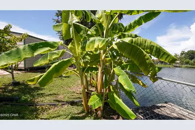 6940 Yellow Bluff Road, Callaway, FL 32404 - Photo 57