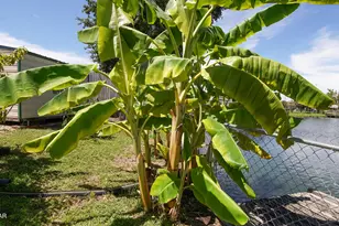 6940 Yellow Bluff Rd, Callaway, FL 32404 - Photo 57