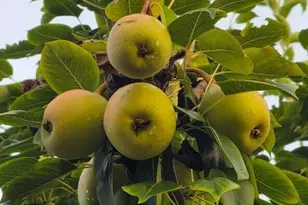 6940 Yellow Bluff Rd, Callaway, FL 32404 - Photo 53