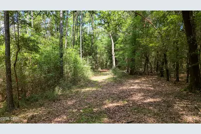 1730 Firetower Road, Chipley, FL 32428 - Photo 37