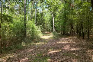 1730 Firetower Rd, Chipley, FL 32428 - Photo 37