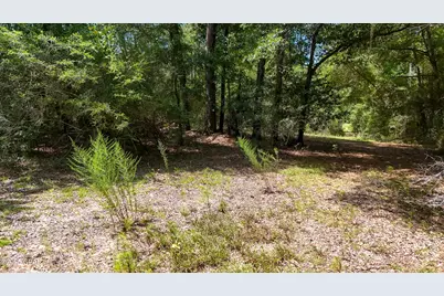 1730 Firetower Road, Chipley, FL 32428 - Photo 41