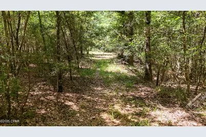 1730 Firetower Road, Chipley, FL 32428 - Photo 39