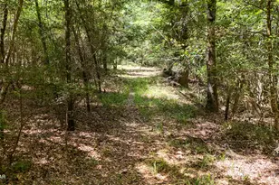 1730 Firetower Rd, Chipley, FL 32428 - Photo 39