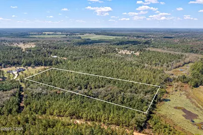 000 Hwy 162 (Tri County Road), Bonifay, FL 32425 - Photo 3
