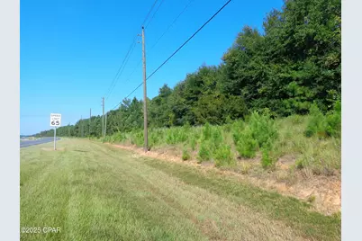 00 Hightower Road, Vernon, FL 32462 - Photo 3