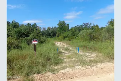 00 Hightower Road, Vernon, FL 32462 - Photo 5