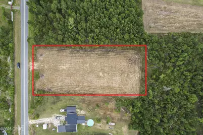252 Jarrot Daniels Road, Wewahitchka, FL 32465 - Photo 11