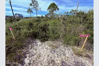 0 County Rd 30A, Port Saint Joe, FL 32456 - Photo 9