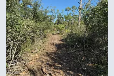0 County Rd 30A, Port Saint Joe, FL 32456 - Photo 5
