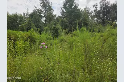 7215 Diane Lane, Panama City, FL 32404 - Photo 3