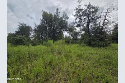 7215 Diane Lane, Panama City, FL 32404 - Photo 5