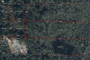 0000 Sandridge Church Rd, Sneads, FL 32460 - Photo 1