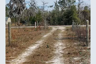 6939 NW Porter Grade Rd. Road, Altha, FL 32421 - Photo 3