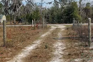 6939 NW Porter Grade Rd Rd, Altha, FL 32421 - Photo 3