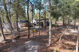 6939 NW Porter Grade Rd Rd, Altha, FL 32421 - Photo 1