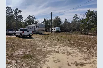 6939 NW Porter Grade Rd. Road, Altha, FL 32421 - Photo 5