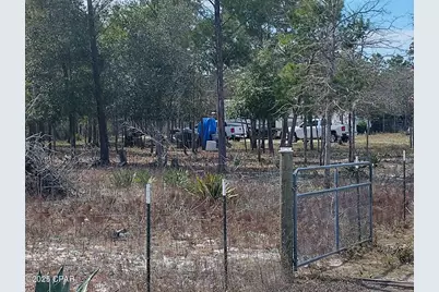 6939 NW Porter Grade Rd. Road, Altha, FL 32421 - Photo 5