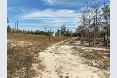 6939 NW Porter Grade Rd. Road, Altha, FL 32421 - Photo 1