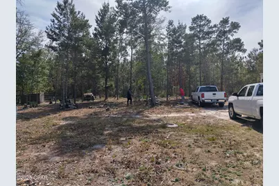 6939 NW Porter Grade Rd. Road, Altha, FL 32421 - Photo 11