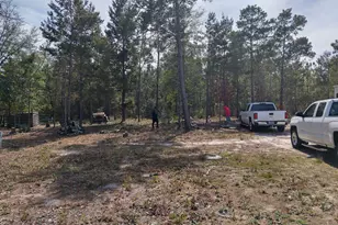 6939 NW Porter Grade Rd Rd, Altha, FL 32421 - Photo 11