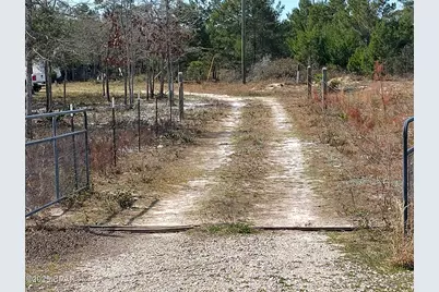 6939 NW Porter Grade Rd. Road, Altha, FL 32421 - Photo 3