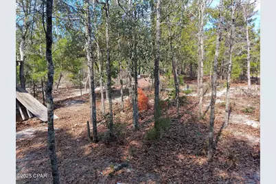 6939 NW Porter Grade Rd. Road, Altha, FL 32421 - Photo 9