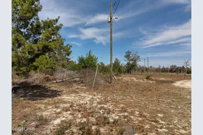 6939 NW Porter Grade Rd. Road, Altha, FL 32421 - Photo 7