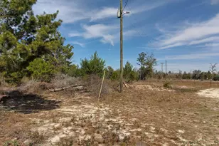 6939 NW Porter Grade Rd Rd, Altha, FL 32421 - Photo 7