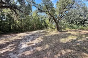 1818 Kaham Ln, Grand Ridge, FL 32442 - Photo 25
