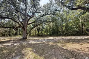 1818 Kaham Ln, Grand Ridge, FL 32442 - Photo 27