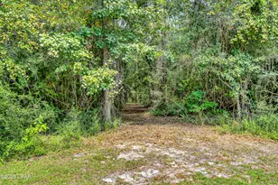 1955 N Hwy 181, Westville, FL 32464 - Photo 55