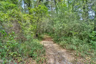 1955 N Hwy 181, Westville, FL 32464 - Photo 53